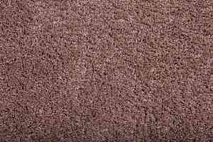 Ковролин Condor Amazing 11 фото  | FLOORDEALER